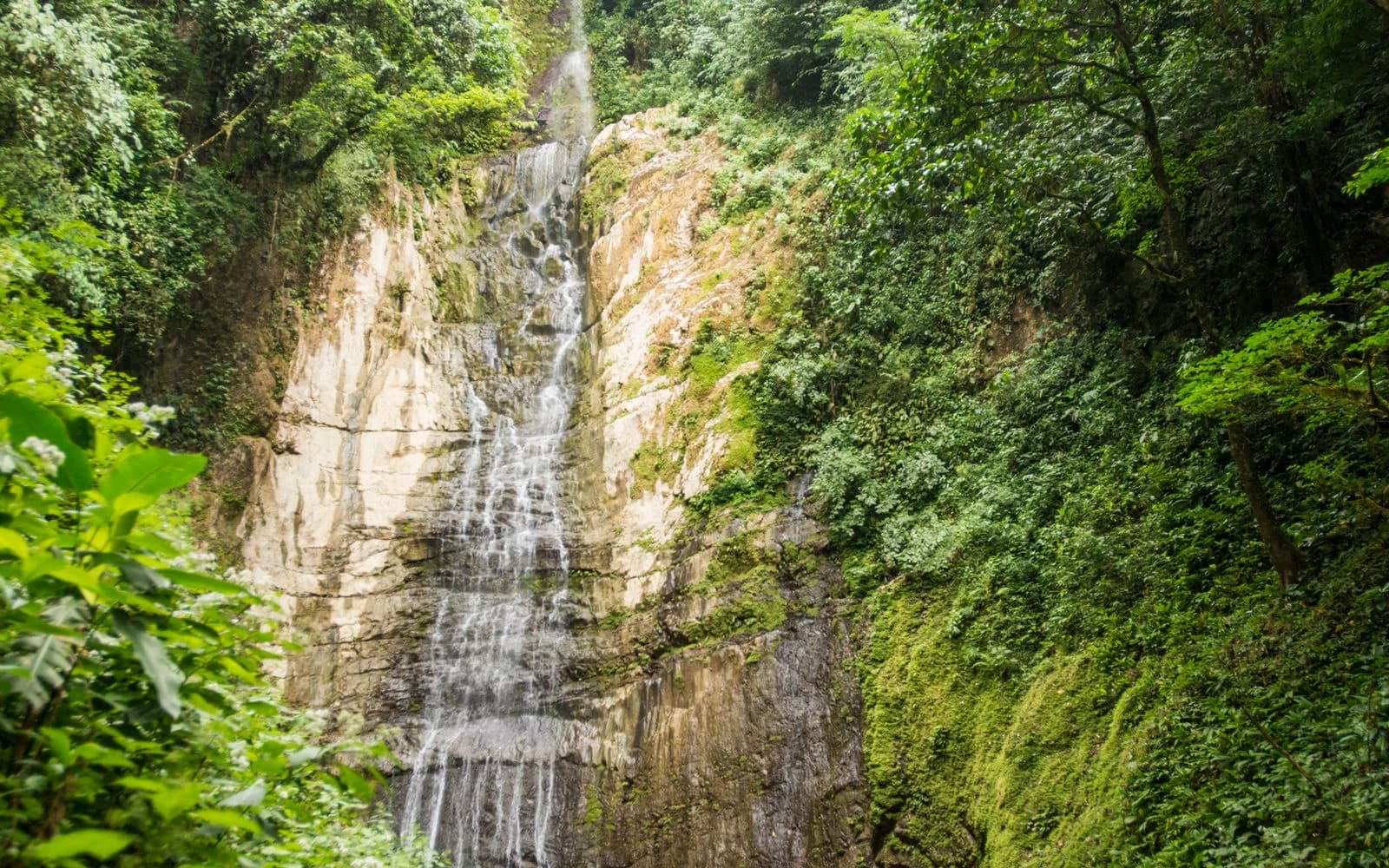 Posada Natura: Where Human Transformation Meets Rainforest Conservation