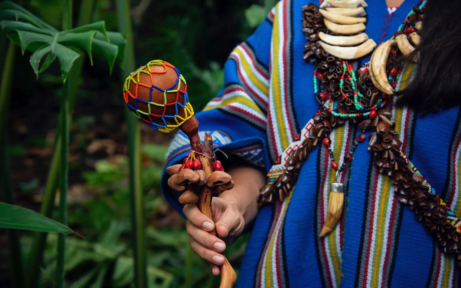 Healing Trauma: A Journey of Transformation with Indigenous Plant Medicine