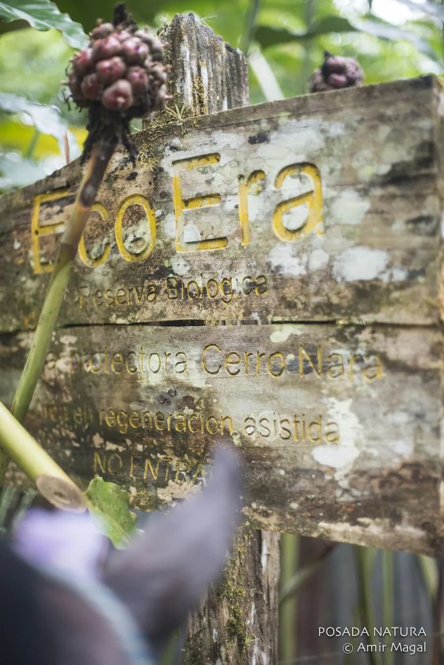 Eco Era Reserva Biologica sign in the forest