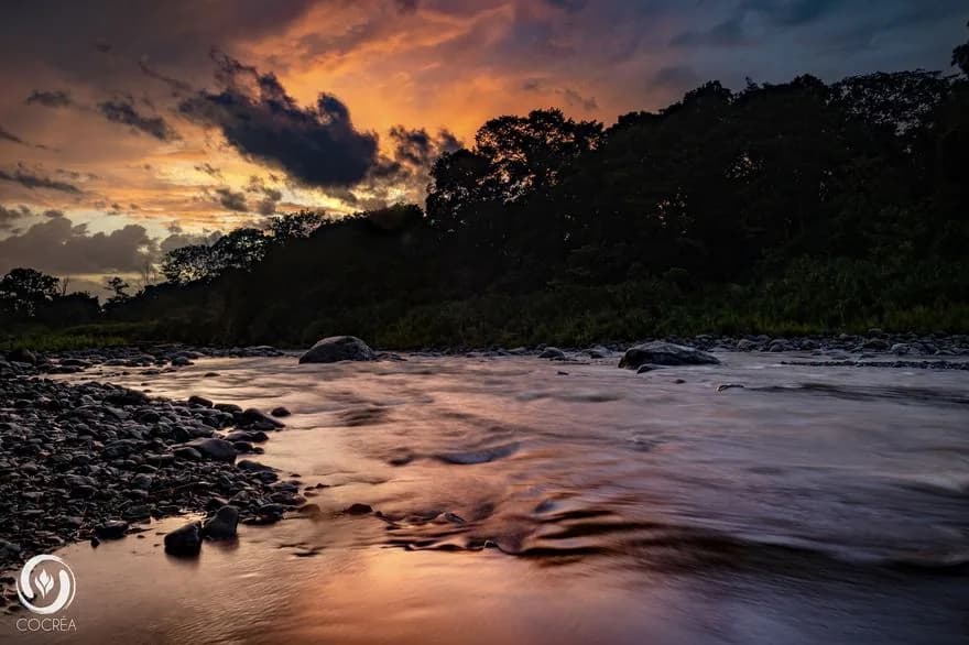 A clear river flowing through dense Costa Rican rainforest