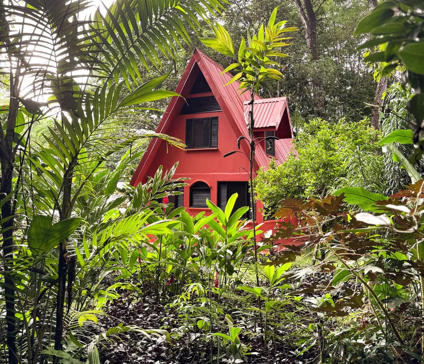 Tropical gardens at Posada Natura