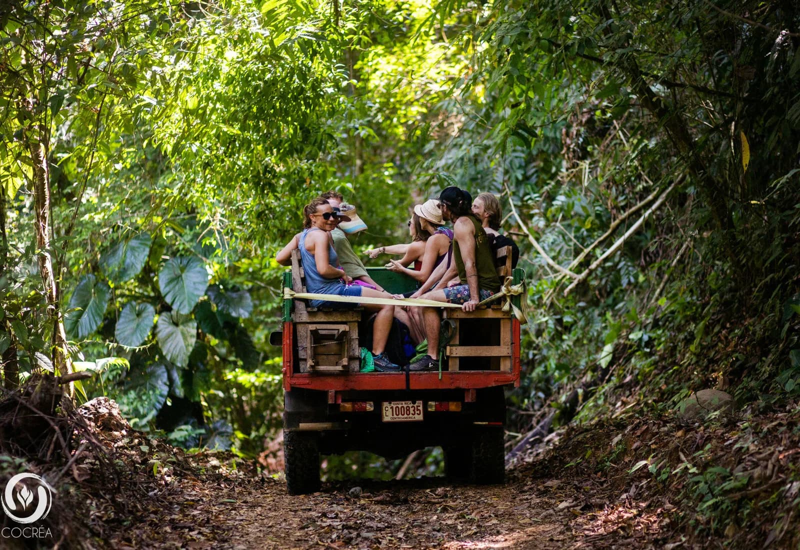 Rainforest canopy near Posada Natura