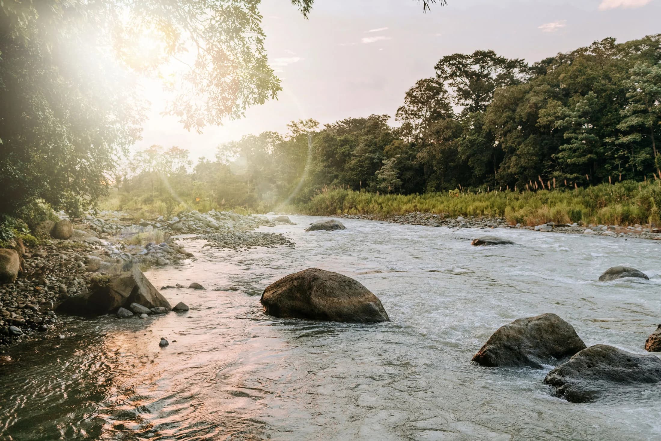 Naranjo River flowing through the rainforest at Posada Natura in Costa Rica