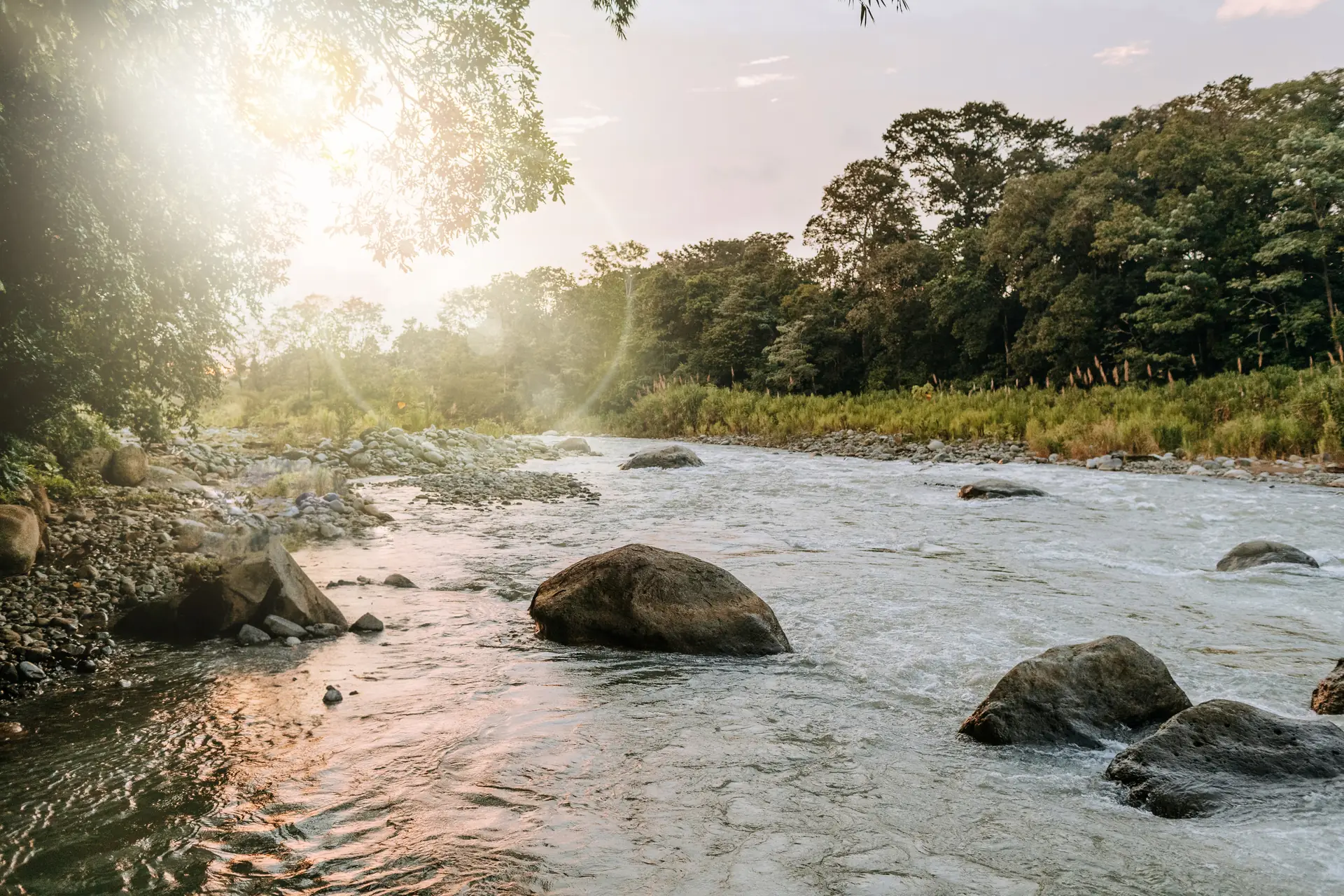 The Naranjo River in golden light beside Posada Natura