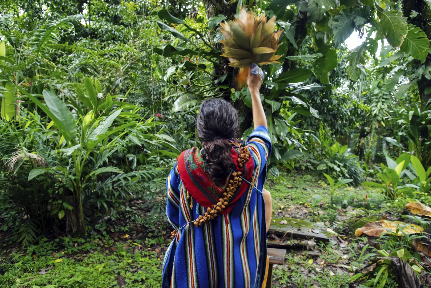 Facilitator in a ceremonial poncho raising a feather fan in the rainforest