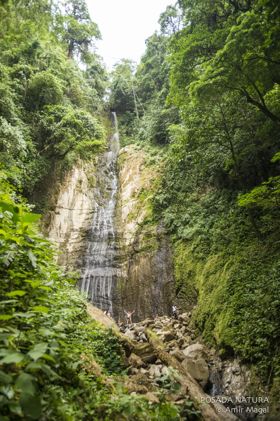 Waterfall in the protected rainforest near Posada Natura